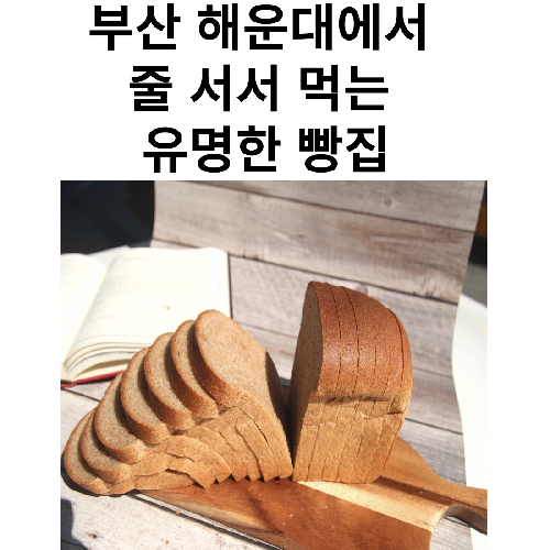 줄서는 빵집 통밀식빵 통밀빵 유기농100% 비건 저염식 다이어트 당뇨, 570g, 1개