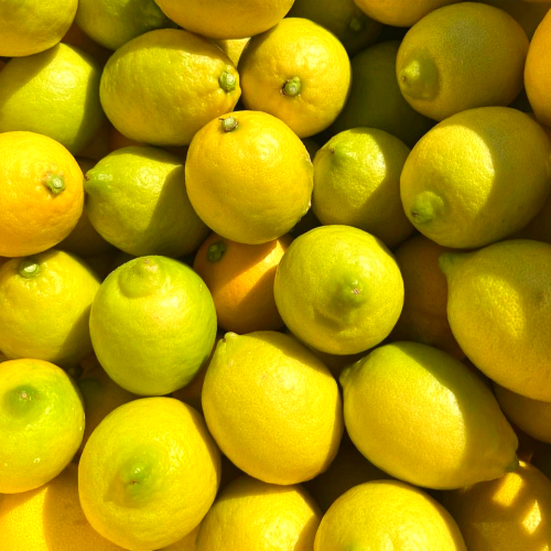 산지직송 프리미엄 청정 제주 레몬, 1개, 4.5kg 상품 (사이즈 혼합)