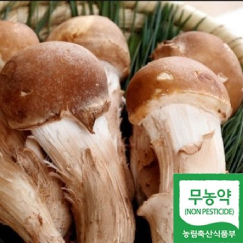 명품참송이버섯 1kg 농장에서 바로따서 보내드립니다 ., 1개