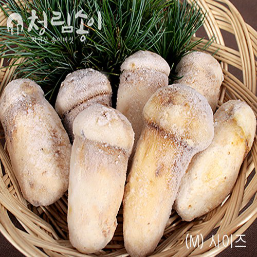 (청림송이,능이) 자연산 냉동송이버섯 (특품), 1개, 냉동송이/BM/1kg