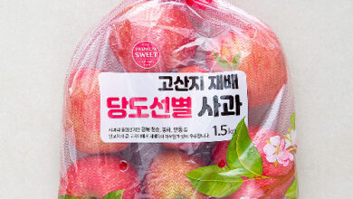고산지 재배 당도선별 사과