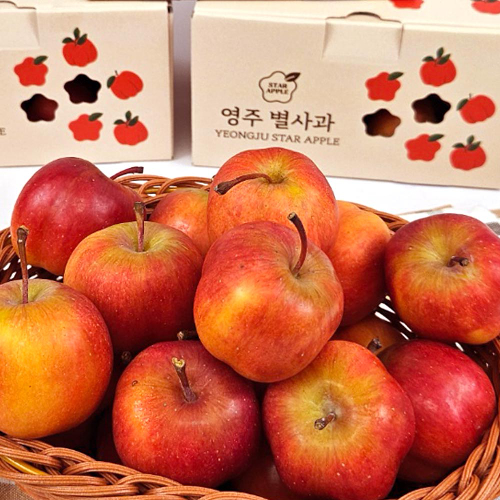 달콤아삭 영주 별사과 미니사과, 1개, 가정용 정품 대과 1kg(15개)