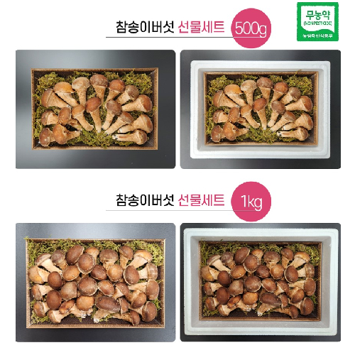 [더좋은버섯] 참송이버섯선물세트 500g 1kg(당일 출고가능)
