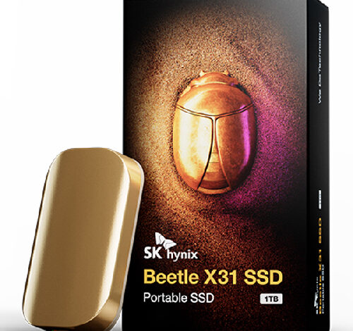 SK하이닉스 Beetle X31 DRAM 탑재 외장 SSD + 전용 케이스