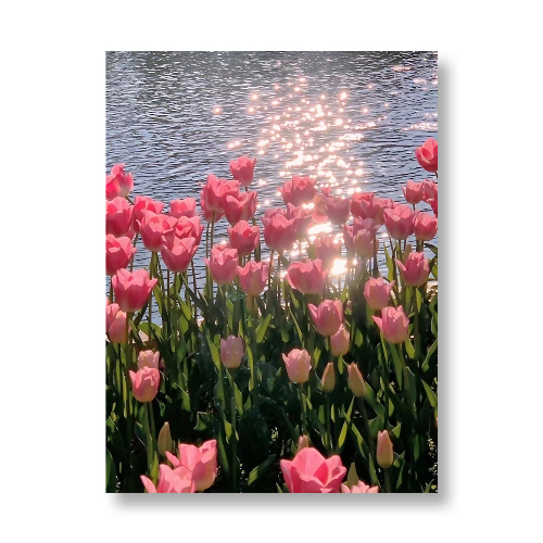골피아 DIY 그림그리기 꽃 튤립 유화 세트 40 x 50 cm