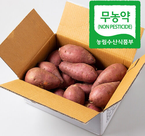 영암 세척 김의준 꿀고구마 베니하루카 무농약, 꿀고구마 5kg(중)90g~160g, 1개