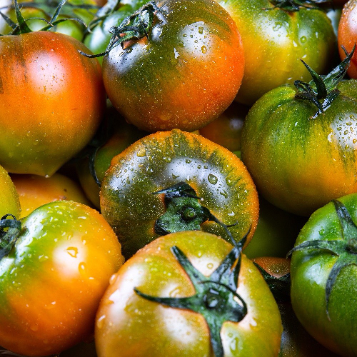 프리미엄 고당도 대저 짭짤이 토마토 2.5kg 로얄과 특품