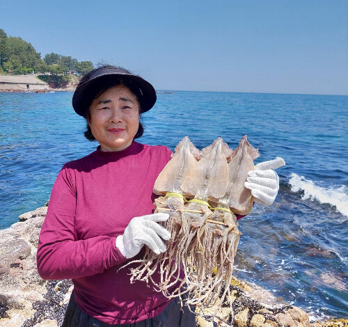 오징어엄마 국내산 마른오징어 건오징어 건조오징어, 1개, 마른 [대] 10마리 750g