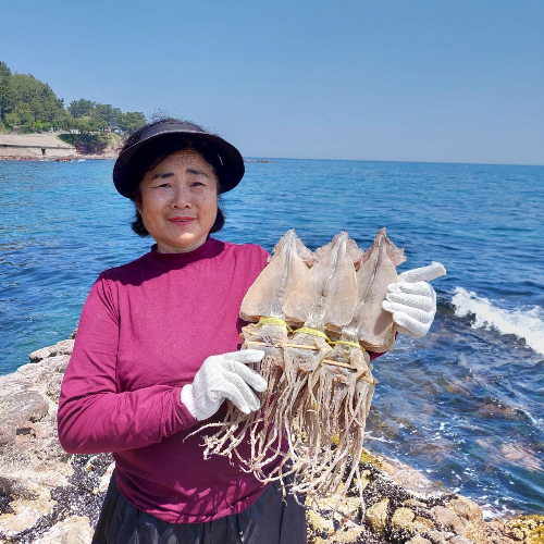 오징어엄마 국내산 마른오징어 건오징어 건조오징어, 1개, 마른 [대] 10마리 750g