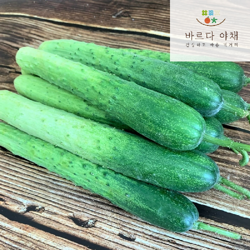 바르다야채 국내산 특품 백다다기오이 1kg 3kg 5kg 10kg, 1kg, 1개