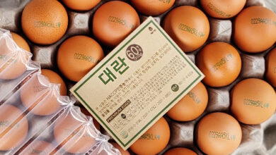 [오늘낳은 달걀] HACCP농가 에그트리 생계란 대란, 60구, 1개