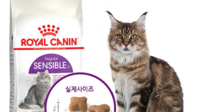 로얄캐닌 캣 센서블 2kg 고양이 사료, 2kg, 1개