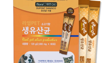 리얼펫 강아지 고양이 생유산균 영양제 120g, 소고기향, 1개, 장건강