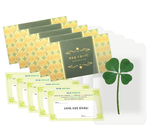 럭키심볼 행운의 선물 네잎클로버 생화 코팅카드 + 봉투