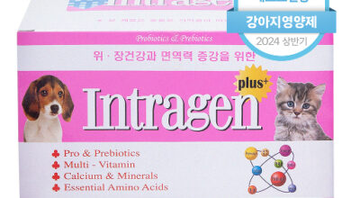 인트라젠 플러스 반려동물 장영양제 (분말타입) 100포